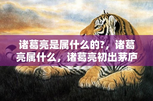 诸葛亮是属什么的?，诸葛亮属什么，诸葛亮初出茅庐