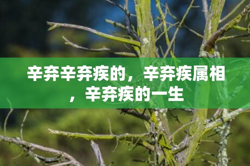 辛弃辛弃疾的，辛弃疾属相，辛弃疾的一生