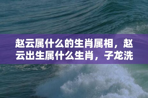 赵云属什么的生肖属相，赵云出生属什么生肖，子龙洗马池