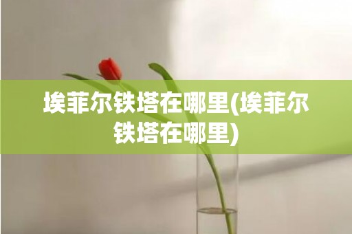 埃菲尔铁塔在哪里(埃菲尔铁塔在哪里)