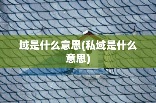 域是什么意思(私域是什么意思)