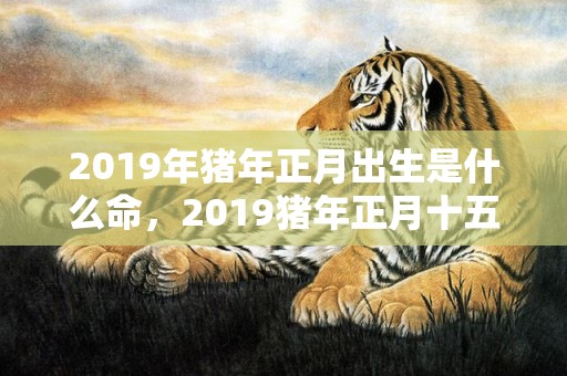 2019年猪年正月出生是什么命，2019猪年正月十五元宵节出生的宝宝起名字大全