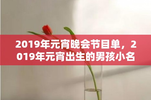 2019年元宵晚会节目单，2019年元宵出生的男孩小名取什么好，如何取小名？