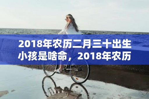 2018年农历二月三十出生小孩是啥命，2018年农历二月出生的狗宝宝取名，宝宝名字推荐
