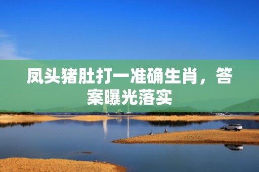 凤头猪肚打一准确生肖，答案曝光落实