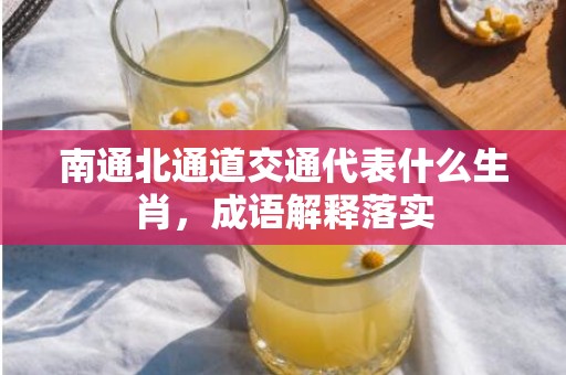 南通北通道交通代表什么生肖，成语解释落实