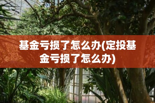 基金亏损了怎么办(定投基金亏损了怎么办)