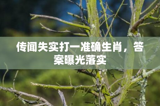 传闻失实打一准确生肖，答案曝光落实