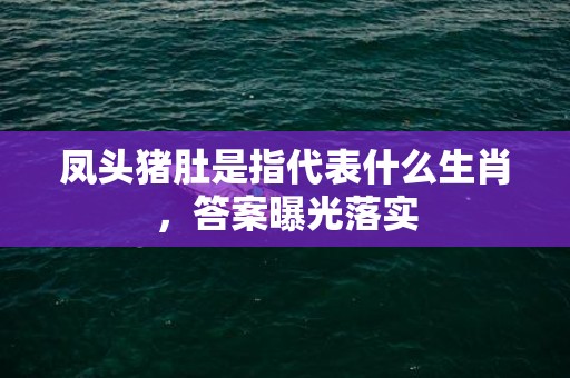 凤头猪肚是指代表什么生肖，答案曝光落实
