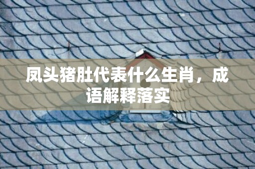 凤头猪肚代表什么生肖，成语解释落实