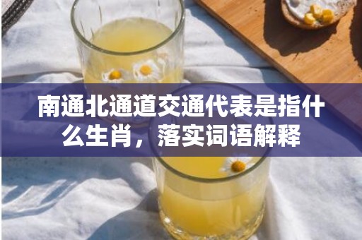 南通北通道交通代表是指什么生肖，落实词语解释