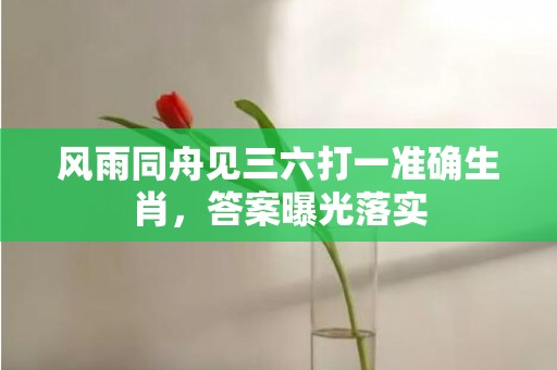 风雨同舟见三六打一准确生肖，答案曝光落实