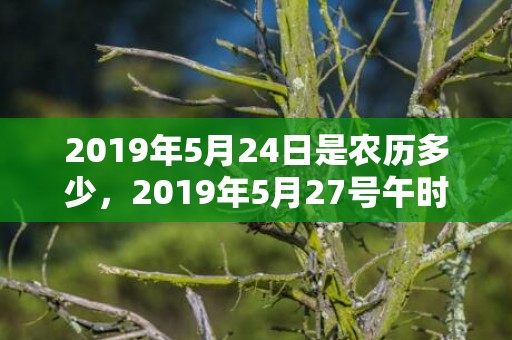 2019年5月24日是农历多少，2019年5月27号午时出生的女孩取名必看