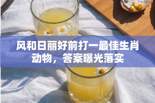 风和日丽好前打一最佳生肖动物，答案曝光落实