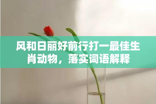 风和日丽好前行打一最佳生肖动物，落实词语解释