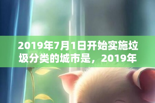 2019年7月1日开始实施垃圾分类的城市是，2019年7月13号未时出生的女孩该怎么起名，五行是什么？
