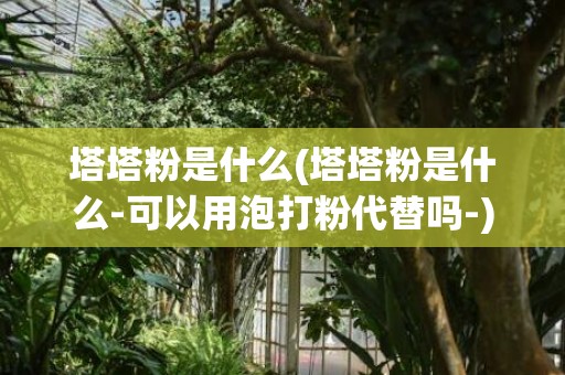 塔塔粉是什么(塔塔粉是什么-可以用泡打粉代替吗-)