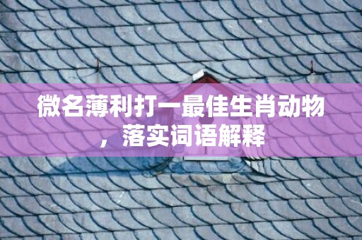 微名薄利打一最佳生肖动物，落实词语解释