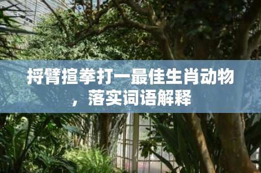 捋臂揎拳打一最佳生肖动物，落实词语解释
