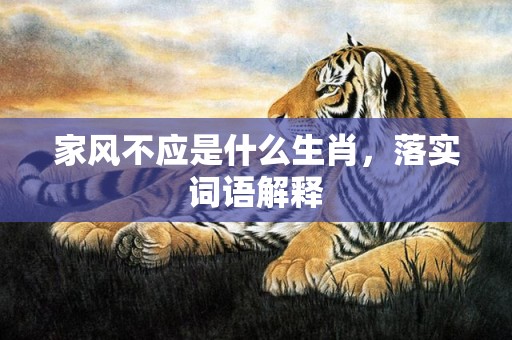 家风不应是什么生肖，落实词语解释