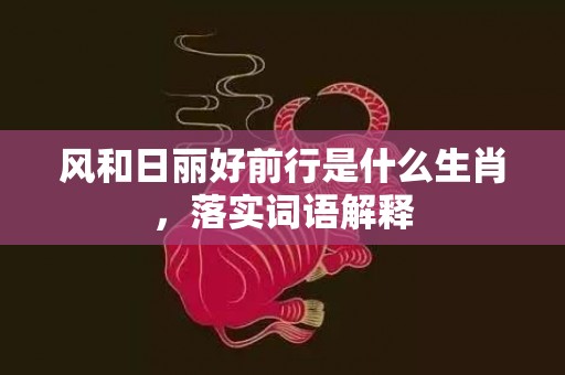 风和日丽好前行是什么生肖，落实词语解释