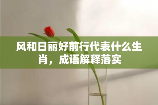 风和日丽好前行代表什么生肖，成语解释落实