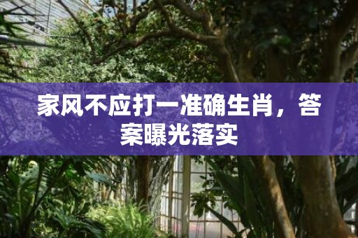 家风不应打一准确生肖，答案曝光落实