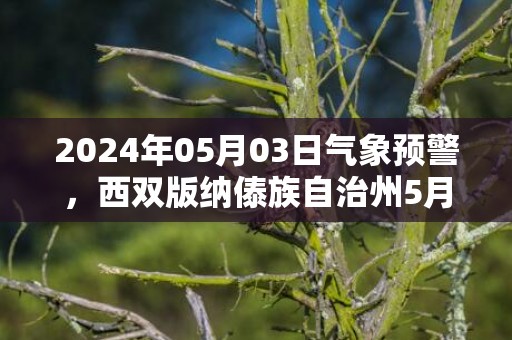 2024年05月03日气象预警，西双版纳傣族自治州5月3日星期五天气预报 大部多云