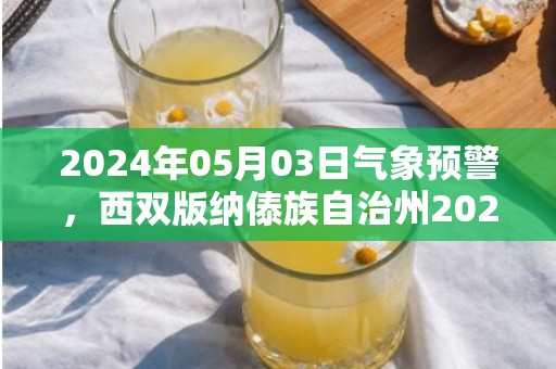 2024年05月03日气象预警，西双版纳傣族自治州2024-05-03星期五天气预报 大部多云