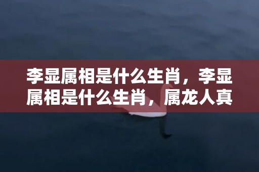 李显属相是什么生肖，李显属相是什么生肖，属龙人真爱的出现时间