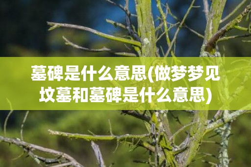 墓碑是什么意思(做梦梦见坟墓和墓碑是什么意思)