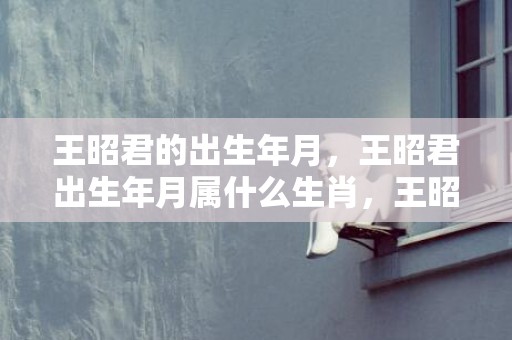 王昭君的出生年月，王昭君出生年月属什么生肖，王昭君拒弹琵琶