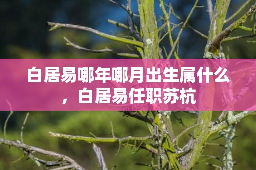 白居易哪年哪月出生属什么，白居易任职苏杭