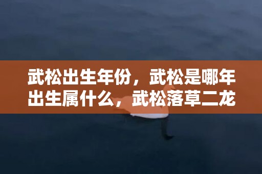 武松出生年份，武松是哪年出生属什么，武松落草二龙山