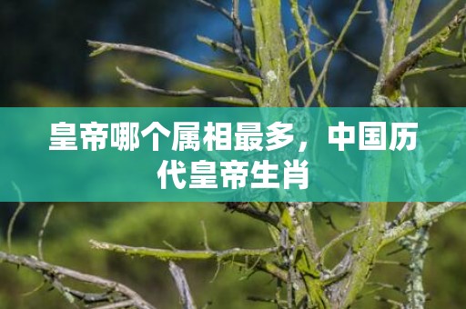 皇帝哪个属相最多，中国历代皇帝生肖
