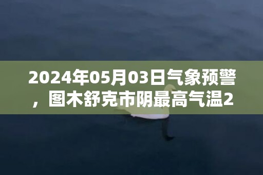 2024年05月03日气象预警，图木舒克市阴最高气温26度