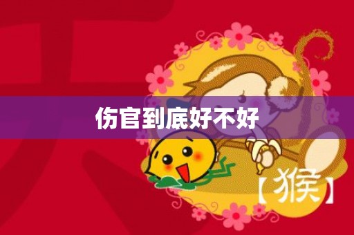 伤官到底好不好