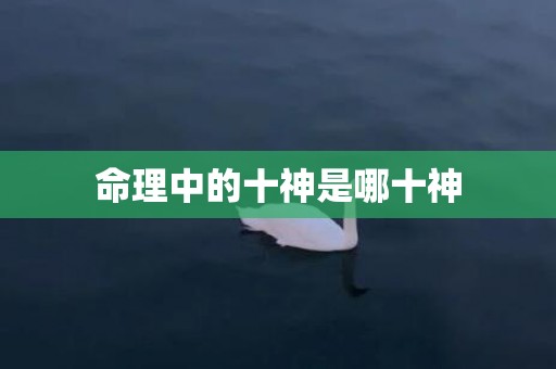 命理中的十神是哪十神