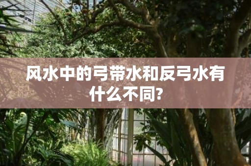 风水中的弓带水和反弓水有什么不同?