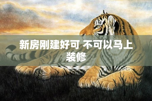 新房刚建好可 不可以马上装修