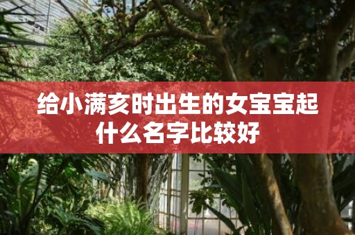 给小满亥时出生的女宝宝起什么名字比较好