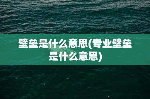 壁垒是什么意思(专业壁垒是什么意思)
