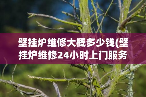 壁挂炉维修大概多少钱(壁挂炉维修24小时上门服务)