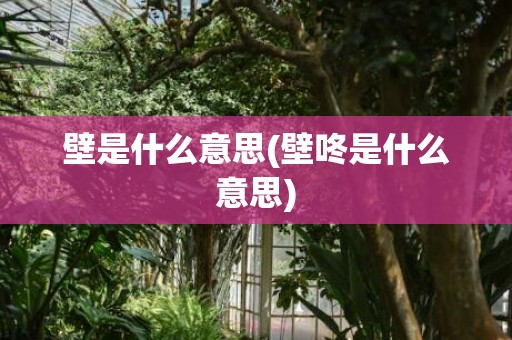 壁是什么意思(壁咚是什么意思)