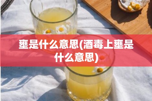 壅是什么意思(酒毒上壅是什么意思)