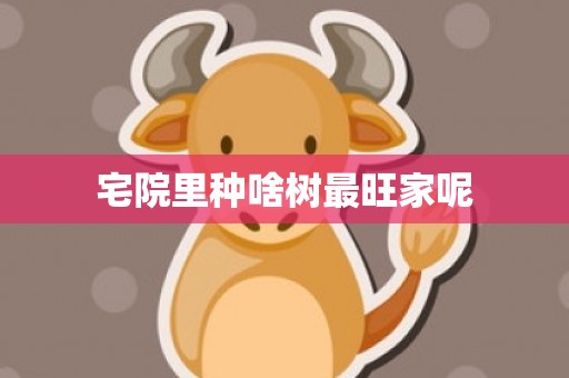 宅院里种啥树最旺家呢