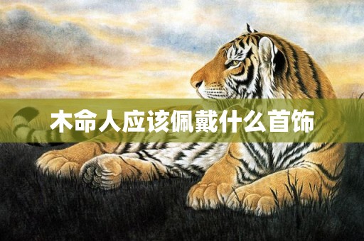 木命人应该佩戴什么首饰
