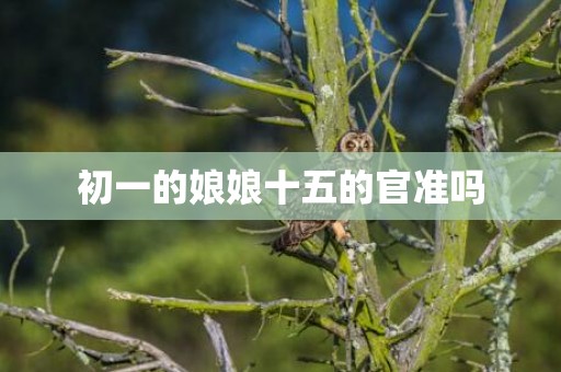初一的娘娘十五的官准吗