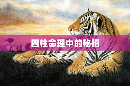 四柱命理中的秘招