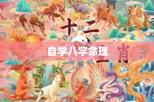 自学八字命理